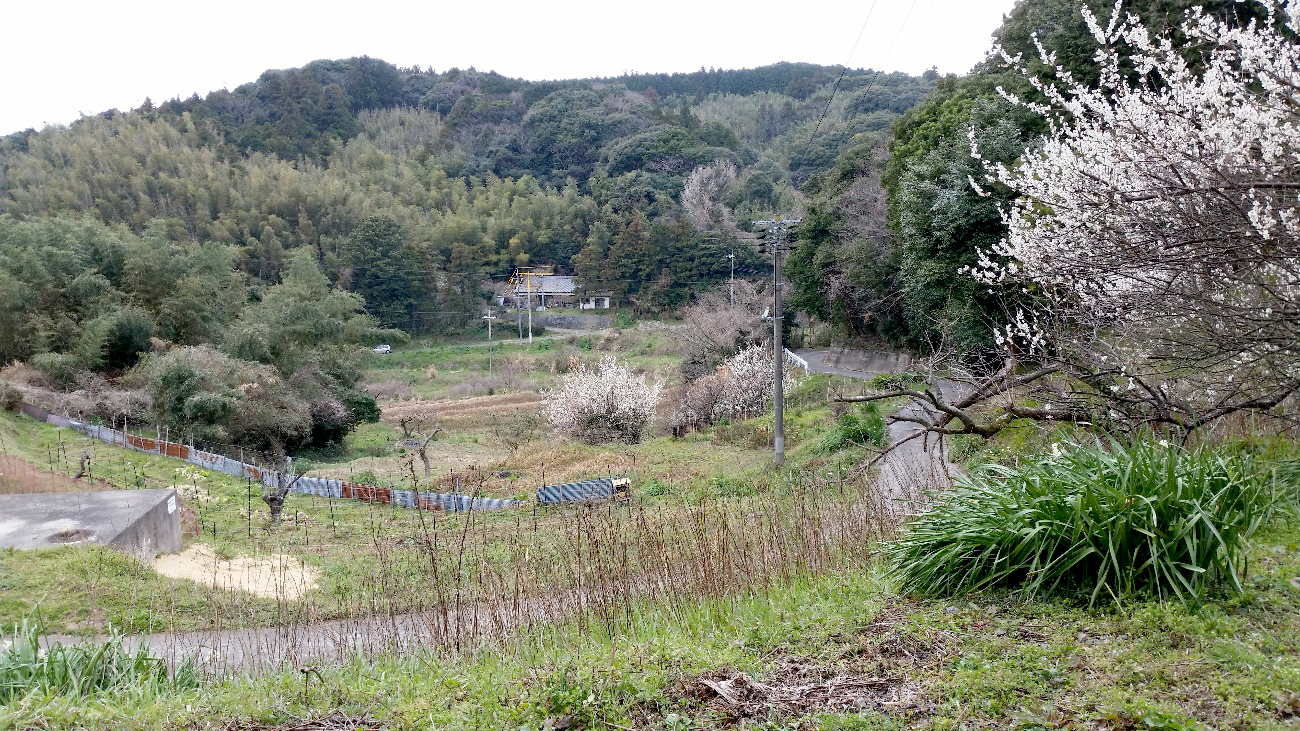 福岡県弁護士会 あさかぜ基金だより 入所ご挨拶