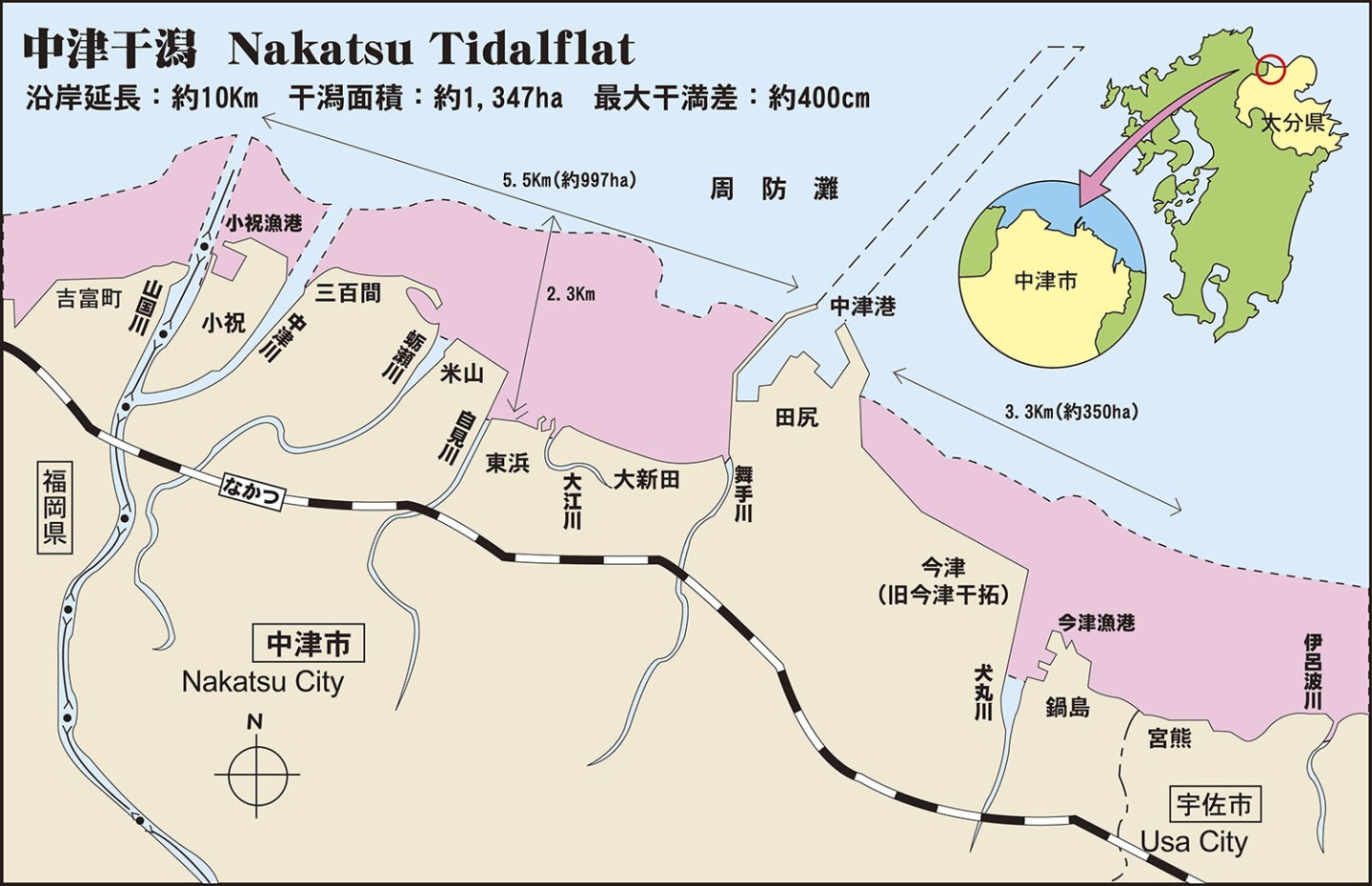 福岡県弁護士会　【北九州部会】中津干潟現地調査について