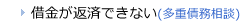 借金が返済できない(多重債務相談)