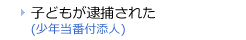 子供が逮捕された　少年付添人